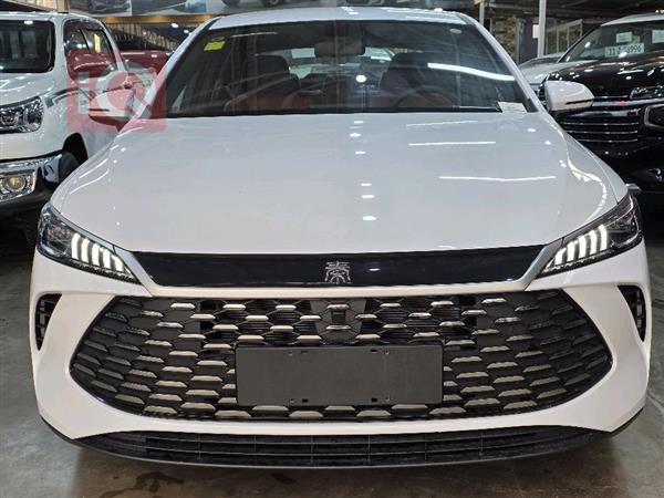 بي واي دي Qin Plus 2025 للبيع في العراق -  بغداد